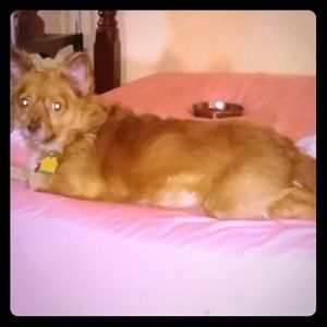 Happy Friday Poshers!